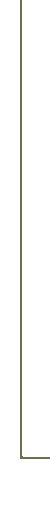 Left Vertical Bar